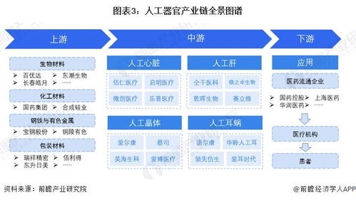 預(yù)見2024 中國(guó)人工器官行業(yè)全景圖譜——市場(chǎng)現(xiàn)狀、競(jìng)爭(zhēng)格局與發(fā)展趨勢(shì)洞察